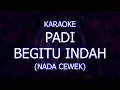 Download Lagu karaoke padi begitu indah nada cewek/wanita