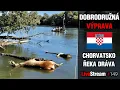 Download Lagu Dobrodružná výprava na řeku Drávu 😮 | Chorvatsko 2025 | Přívlač Live #149