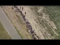 Latest headlines Troops heading to the border and family s home destroyed in PD shootout