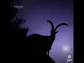 Download Lagu Iyari - Hozro (Full Album)