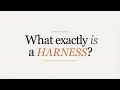 What is an Agent Harness and How to build a great one