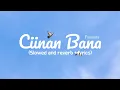 Download Lagu Ciinan Bana - Fauzan (slowed and reverb + lyrics) versi tiktok. MP3