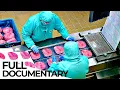 The Meat Lobby Inside the Abyss of an Industry ENDEVR Documentary