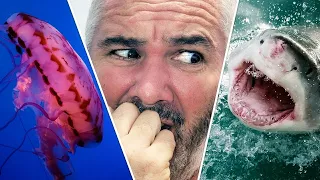 What’s the worst thing you’ve seen in the water? – Sailing Ep 163