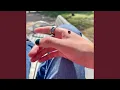 The Bug Collector