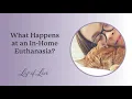 What happens at an in-home euthanasia - Veterinarian Dr Dani McVety answers