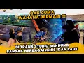 Lagu TRANS STUDIO BANDUNG GAK CUMA WAHANA BERMAIN, BANYAK IKAN LAUT UNTUK DIPELAJARI PARA KERUCILS !!!