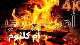 أم كلثوم أمل حياتي مع موقد نار Fireplace 