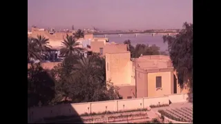 محمد جواد اموري لاتجينا دندنها