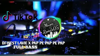 Download DJ C'EST LAVIE X PAP PE PAP PE PAP TIKTOK VIRAL TERBARU 2020 FULL BASS [128K] MP3