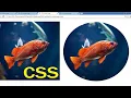 How to Create Circled Image using CSS CSS Round Border Images