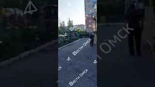 В Омске на улице Авиационной на территорию детской площадки пробрался дикий лось