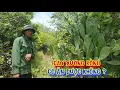 Download Lagu CHÀNG TRAI may mắn, từ nghèo khó vượt lên THAY ĐỔI cuộc sống - tập 1483