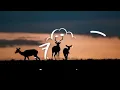 Lloyd808-ebasini  (feat leemkrazy)                 (Official audio)