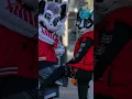 WHAT IS A FURRY Explained in 1 Minute