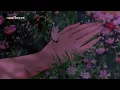 Una Conexión - Macaco ft. Vicente García (Letra)