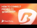 How To Setup Proxies With BitBrowser FleetProxy Integration Tutorial 2026