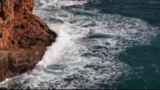 سورة آل عمران معاذ سيد 