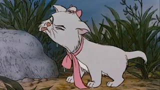 aristocats maries cutest moments