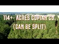 114 Acres for Sale in Copiah County that Can be Divided Deer Turkey and Timber