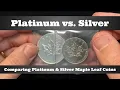 Lagu Platinum vs. Silver - Comparing 1 oz Platinum \u0026 1 oz Silver Maple Leaf Coins