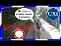 Download Lagu Kamiony ve třech pruzích, Otec roku na magistrále | TruckView kompilace 111.