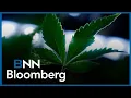 Aurora shareholders will benefit form deal Curaleaf