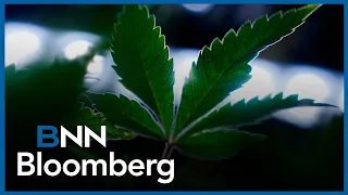 Aurora shareholders will benefit form deal Curaleaf