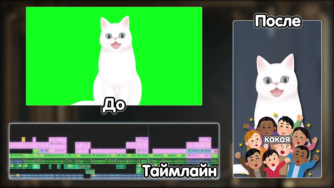 Video