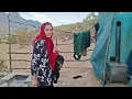 An Incredible Fence to Keep Wild Animals Away and Protect the Mountain Cabin