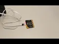 Sound activated lights