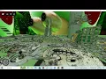 Exploiting Ragdoll Engine With Orc1
