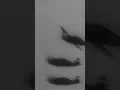 Lagu How These WWII Planes Changed the War Forever
