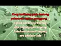 Download Lagu JAMAN EDAN-POP SUNDA KARAOKE-DARSO
