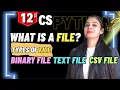 What is File Text File Binary File CSV File Class 12 CS