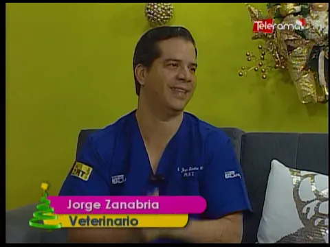 Cuidado de las mascotas con la quema de años viejos