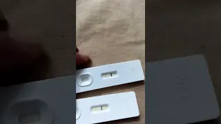 مفيش حاجه اسمها خط تبخر حامل ولا مش حامل مبروك انتي حامل 