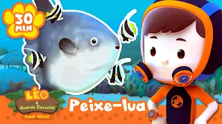¡Este pez tiene un festín listo para comer: EN SU PROPIA PIEL! | Leo, El Explorador | Animación