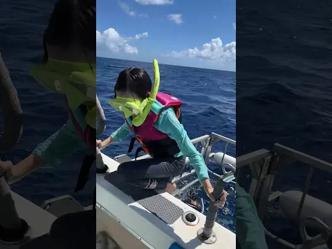 바다에서 상어와 수영하기! Swim with baby shark