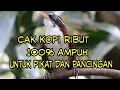 Download Lagu Cak kopi ribut 100% ampuh untuk pikat dan pancingan
