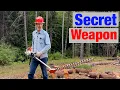 I Doubted This Would Work As a Forestry Tool I Was WRONG