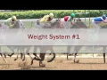 Free Horse Racing Handicapping System that Works Weight System