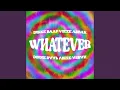 Download Lagu WHATEVER