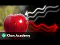 Electromagnetic waves and matter Middle school physics Khan Academy