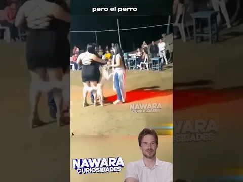 Perro baila con todas las damas.