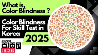 Color Blindness For Skill Test Korea 2024 | You're Color Blindness? Test You're Eyes | KP 2024