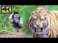 Download Lagu Tiger Hunt | Mirugaa | Raai Laxmi, Dev Gill | 4K (English Subtitles)