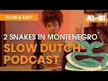 Download Lagu Ep. 29 SLOW DUTCH 🇳🇱 2 SNAKES🐍 in Montenegro 🇲🇪😱🐍 -  A2 Dutch Listening Exercise