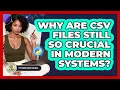 Why Are CSV Files Still So Crucial In Modern Systems - Python Code School