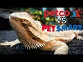 Petco VS Petsmart - Bearded Dragon Care Guides